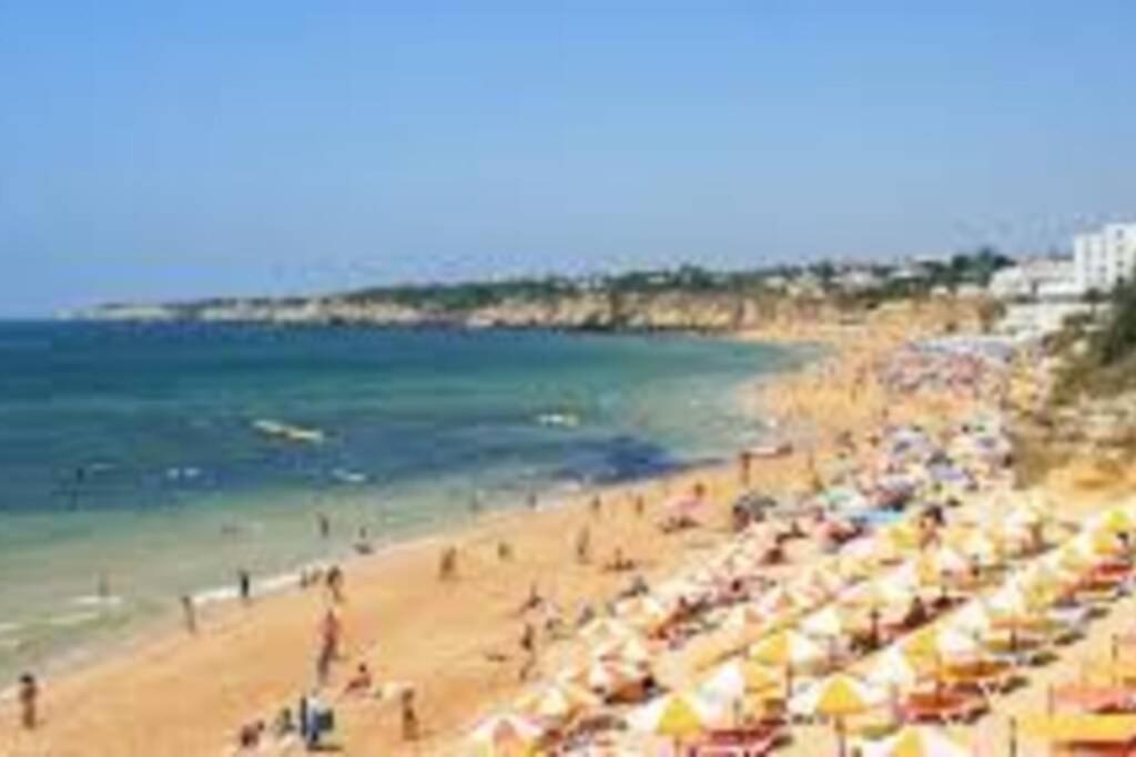 Cozy Ap Renovado 1ª Linha De Praia - Armacao Pera Armação de Pêra Eksteriør bilde